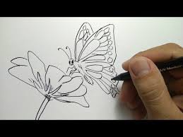 Cara Menggambar Kupu Kupu How To Draw Butterfly Youtube Di 2020 Kupu Kupu Gambar Gambar Kartun
