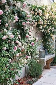 14 Beautiful Small Cottage Garden Ideas For Backyard Inspiration Homespecially Small Cottage Garden Ideas Wall Climbing Plants Beautiful Flowers Garden