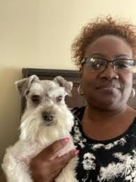 Past Puppies 3 Wishbone Farm Schnauzers