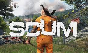 50 prototypical scum steam charts