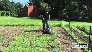 If you are planting this year, you'll need to remove the grass and roots. Removing Weeds With A Mc43 Mini Cultivator Youtube