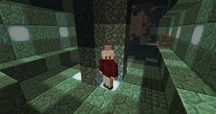 The baby axolotl will usually take after one of its parents in colour, but there is a 1 in 1,200 (0.083%) chance that it will instead become a rare blue. Axolotl Just Be Sitting Your Head Minecraft