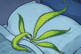 In this article, we will to be selected for the job, you need to know the qualifications, requirements for applying for cbn. Why Cbn A Marijuana Sleep Aid Is A Great Alternative Rolling Stone