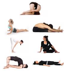 Simple Hatha Yoga Poses For Beginners To Help You Master The Basics Yoga Poses For Beginners Hatha Yoga Poses Hatha Yoga