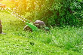 Ask yourself before moving forward with cohabitation whether or not you're doing it because it makes the most sense for. First Grass Cut Of 2021 14 Tips Before You Mow The Lawn