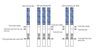 Những chia sẻ về cách xem que thử thai quickstick hy vọng có thể giúp chị em có những kiến thức cơ bản trong việc phát hiện mình có thai sớm và lên một chế độ dinh dưỡng cũng như chăm sóc phù hợp. Que Thá»­ Thai Quickstick Táº¥t Táº­t 10 Thong Tin Vá» Que Thá»­ Top 1 Ban Cháº¡y 2021