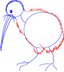 How To Draw A Kiwi Step By Step Drawing Guide By Dawn Dragoart Com Draw two ovals for the head and body of the kiwi. how to draw a kiwi step by step