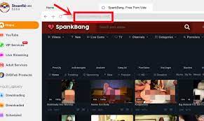 Is spankbang a safe website