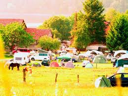 Dkv camping edersee is situated northwest of bringhausen, close to dkv campingplatz edersee. Zelten Mit Dein Pferd Im Edersee Paradies Www Camping Asel Sued Eu Foto Priscilla Wilhelmi Edersee See Paradies