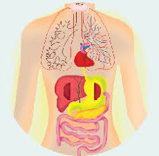 Ne bucuram sa fim parteneri up achizitii, oferind servicii de inalta calitate la preturi preferentiale, a spus georgiana andrei, corporate sales director in cadrul retelei de sanatate regina maria. Policlinica Doamna Ghica Reginamaria Ro