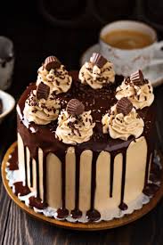 Airy soft biscuit with a taste of dark chocolate and orange, is. Chocolate Peanut Butter Cake The Novice Chef