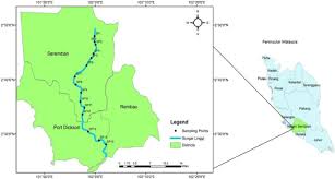 Mantin — the mine tin town. Occurrence And Potential Risk Of Organophosphorus Pesticides In Urbanised Linggi River Negeri Sembilan Malaysia Springerlink