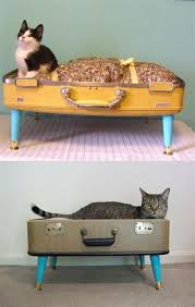 Kedi Yatagi