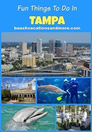 Fun Things To Do In Tampa Florida In 2020 Florida Activities Florida Vacation Florida Travel