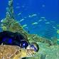 Sea Turtle Safari ~ Women’s Dive Day