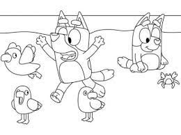 The description of bluey cartoon coloring dogs app. Bluey Family Coloring Pages Colour Bluey Abc Kids Bluey Cartoon Coloring Dogs Programme Op Google Play Laree Dorrell
