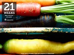 How Big Is My Baby Week By Week Fruit And Veggie Comparisons Babycenter Baby Center Baby Food Recipes Baby Weeks
