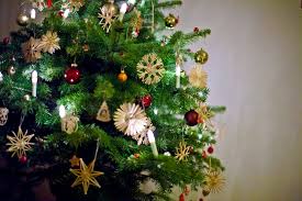 Wann ist der richtige zeitpunkt, um den christbaum zu entsorgen? Weihnachtsbaume Im Uberblick Welcher Ist Der Perfekte Baum Themen Lokalmatador