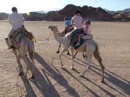 The monastery was dedicated to the coptic saint abba hedra, who renounced the world on his wedding day to become a discipline of saint baiman. Safari Excursions Camel Riding From Sharm El Sheikh