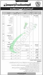 It was hosted by cyber internet services (pvt.) Www Cabinet Gov Pk Jobs Application Form Download Online 2017