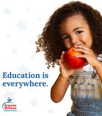 Amazon.com: Carson Dellosa Garland 2 Piece Set, 12" Black and White Felt  Pom Ball Banners