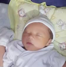 Ryan Cisco in people