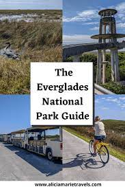 Bicycle rentals for use on the everglades bike trail at shark valley begin at 8:30 am and continue until 4 pm. A Guide To The Shark Valley Bike Trail And Tram At The Everglades National Park Florida Aliciamarietravels