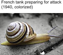 Battle Of France 1940 Snail Snail Image Snail Art