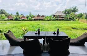 Akan tetapi bagi asmana notoraharjo dan sami salikin, rumah di dekat sawah sangat diimpikan karena mereka ingin mempunyai hunian rasa vila yang nyaman. Rekomendasi 11 Restoran Tepi Sawah Di Bali Yang Punya Pemandangan Spektakuler Bukareview