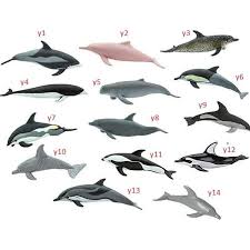 Mewarnai gambar ikan paus bisa menggunakan pewarna krayon, pensil warna, spidol warna atau cat air. Mewarnai Ikan Hiu Gabrez