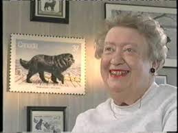 Meet The Newfoundland