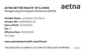 The application for benefits eligibility (abe) at abe.illinois.gov is the state of illinois' official website for applying for and managing medical, snap and cash benefits. Https Www Aetnabetterhealth Com Illinois Assets Pdf Members Mltss Handbook Pdf