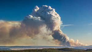 Flammagenitus Clouds: Pyrocumulus Formation | WhatsThisCloud
