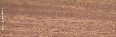 Image result for Leptactina arborescens