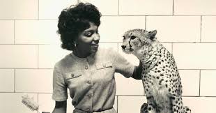 Dead war v20210114 +12 trainer; Mary J Wilson Was Baltimore S First Black Senior Zookeeper The New York Times