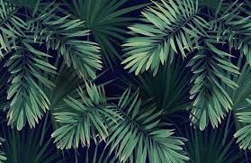 Download and use 60,000+ tropical plant stock photos for free. Green Tropical Plant Wallpaper Mural Hovia