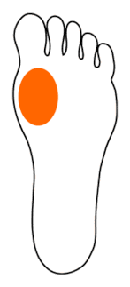[foot]