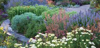 Maybe you would like to learn more about one of these? Creating A Beautiful Flower Garden Article The Diggers Club