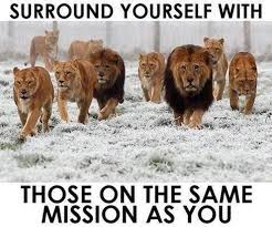 577 Motivational Inspirational Quotes About Life 12 Inspirational Quotes Lion Quotes Motivational Quotes