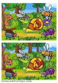 Iki Resim Arasindaki Farki Bulma Etkinlik Sayfalari 8 Evimin Altin Topu Evde Egitim Okul Egitim