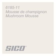 Can you use dried mushrooms in a dish? Sico Colour Palette Paint Colors Orange Accents Living Room Greige Paint Colors