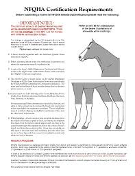 Nfqha Certification Requirements Foundation Quarter Horse