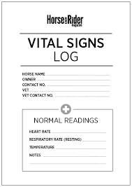 check your horses vital signs horse and rider