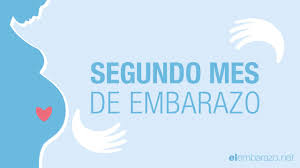 Segundo Mes De Embarazo 2 Meses De Embarazo El Embarazo Mes A Mes Youtube