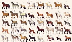 We did not find results for: Three Horses Ku 50 Wallpaper V 3 4 Png