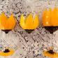 Wine Glass Painting event image