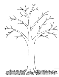 Cg Tree Bare Jpg 2 495 3 216 Pixels Tree Coloring Page Leaf Coloring Page Tree Outline