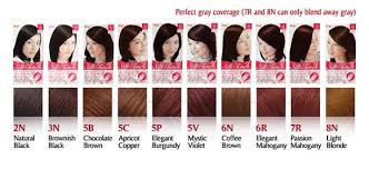 Bigen One Push Hair Color Chart Hair Coloring