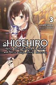 Higehiro: After Being Rejected, I Shaved and Took in a High School Runaway,  Vol. 3 (light novel) eBook by Shimesaba - EPUB Book | Rakuten Kobo United  States