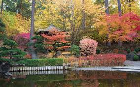 Top quality trees at low prices. Classic Trees For A Japanese Garden The Tree Center